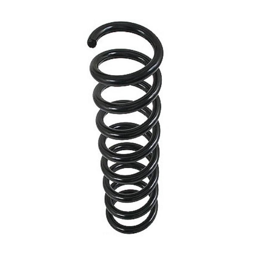 Mercedes Coil Spring - Front 2023211504